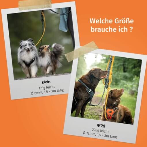 Floxik 3m Tau Führleine grün – Bild 11