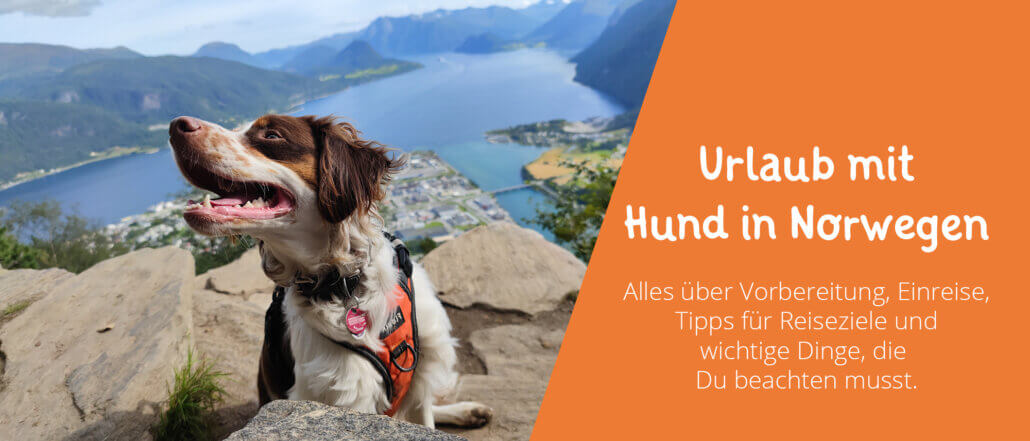 Urlaub mit Hund in Norwegen