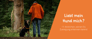 Liebt mein Hund mich?