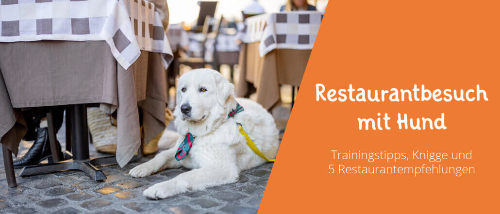 Restaurantbesuch mit Hund