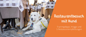 Restaurantbesuch mit Hund