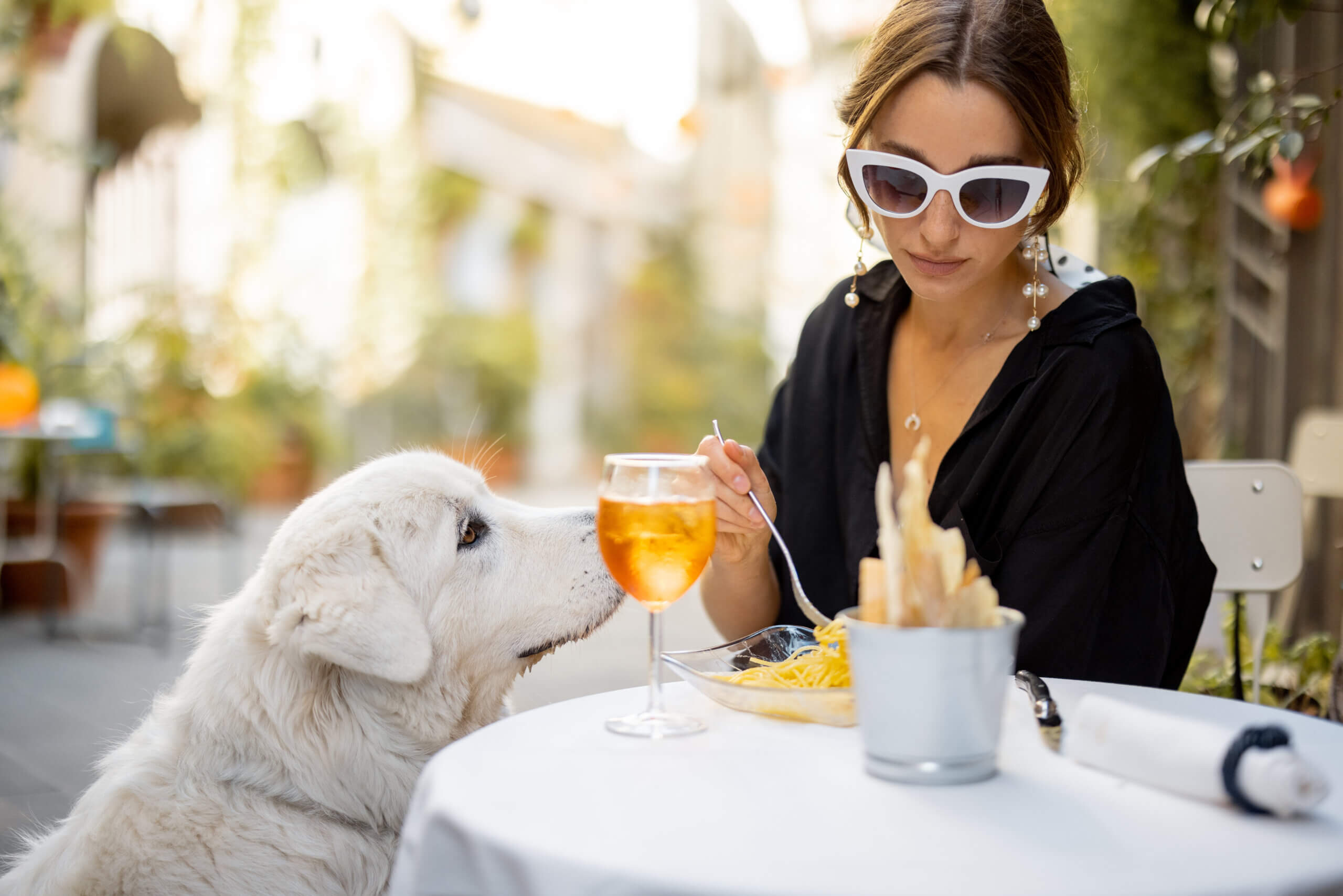 Restaurantbesuch mit Hund Tipps in Deutschland