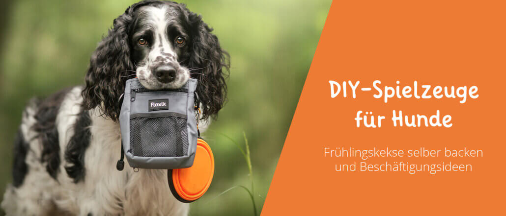 DIY-Spielzeuge für Hunde, Hundekekse selber machen
