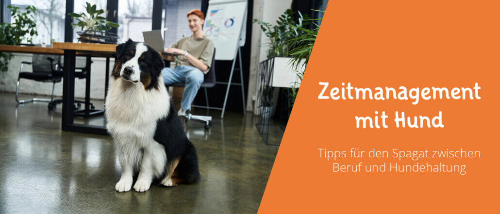 Zeitmanagement mit Hund
