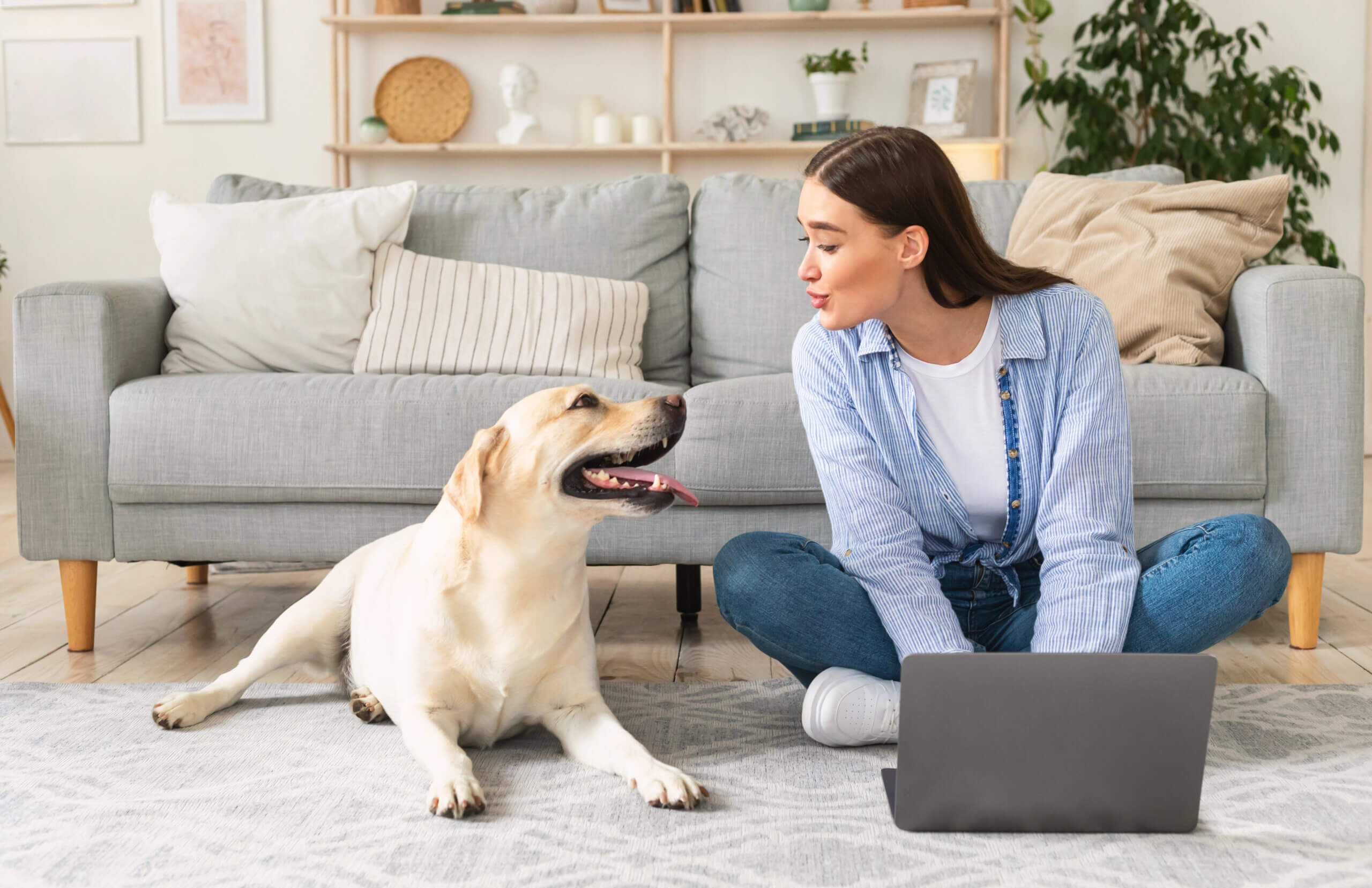Zeitmanagement mit Hund im Homeoffice