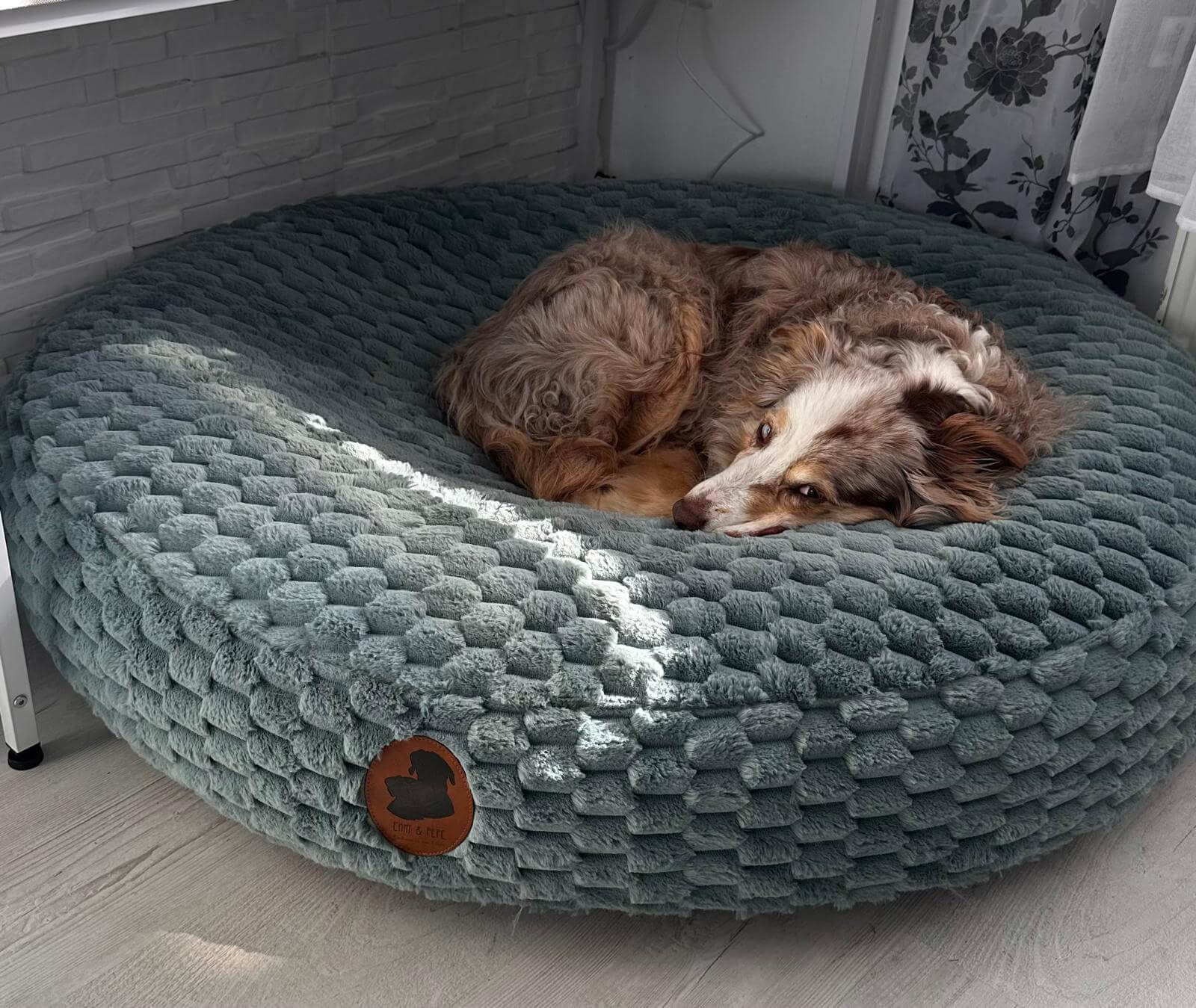 Zeitmanagement mit Hund
