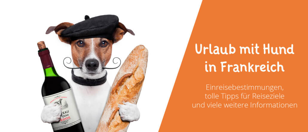 Urlaub mit hund in Frankreich