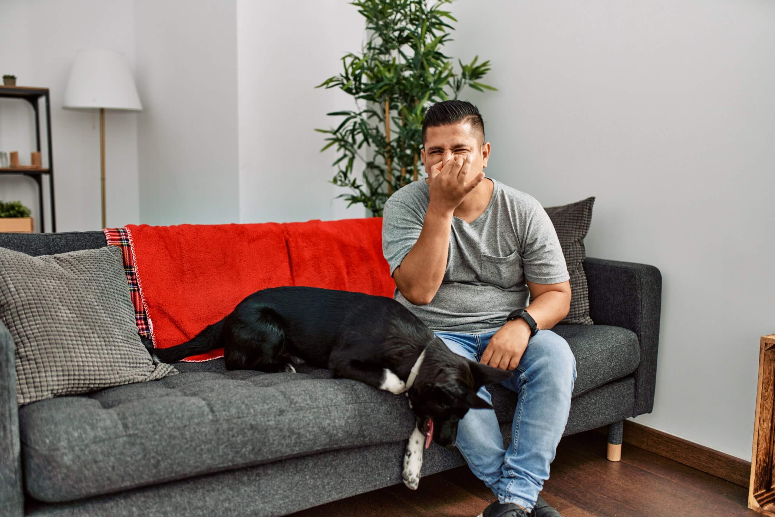 Hund pupst - Ursachen und was Du tun kannst