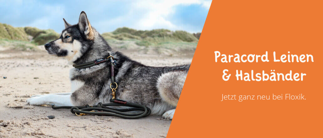 Paracord Leinen & Halsbänder
