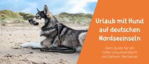 Urlaub mit Hund auf deutschen Nordseeinseln Tipps