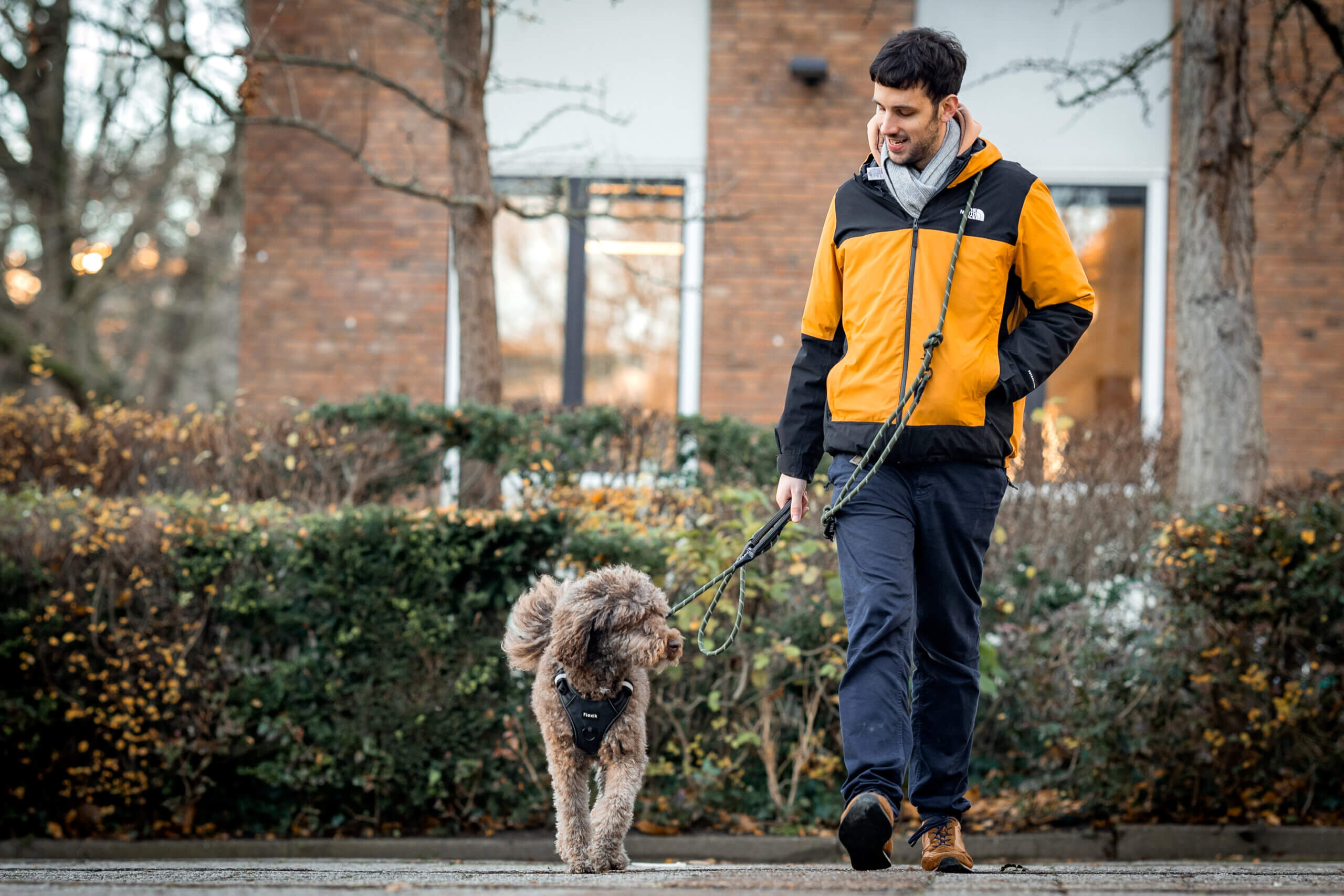 Bindung und Beziehung zum Hund