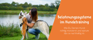 Belohnungssysteme im Hundetraining