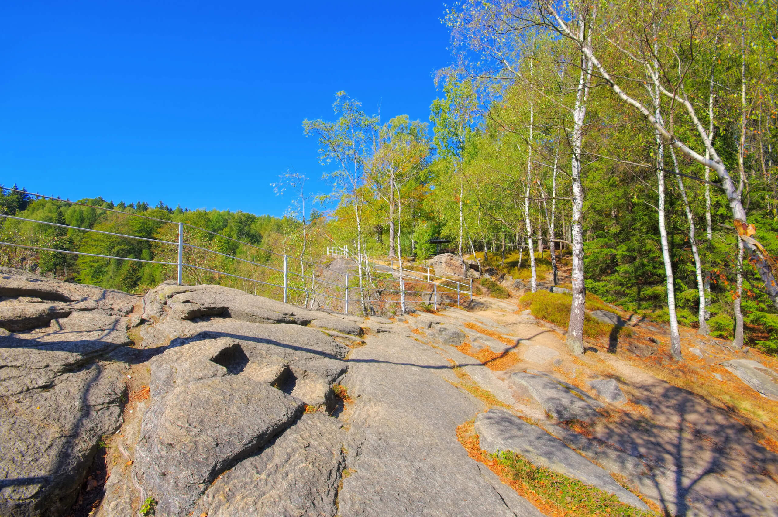 Wandern mit Hund im Erzgebirge