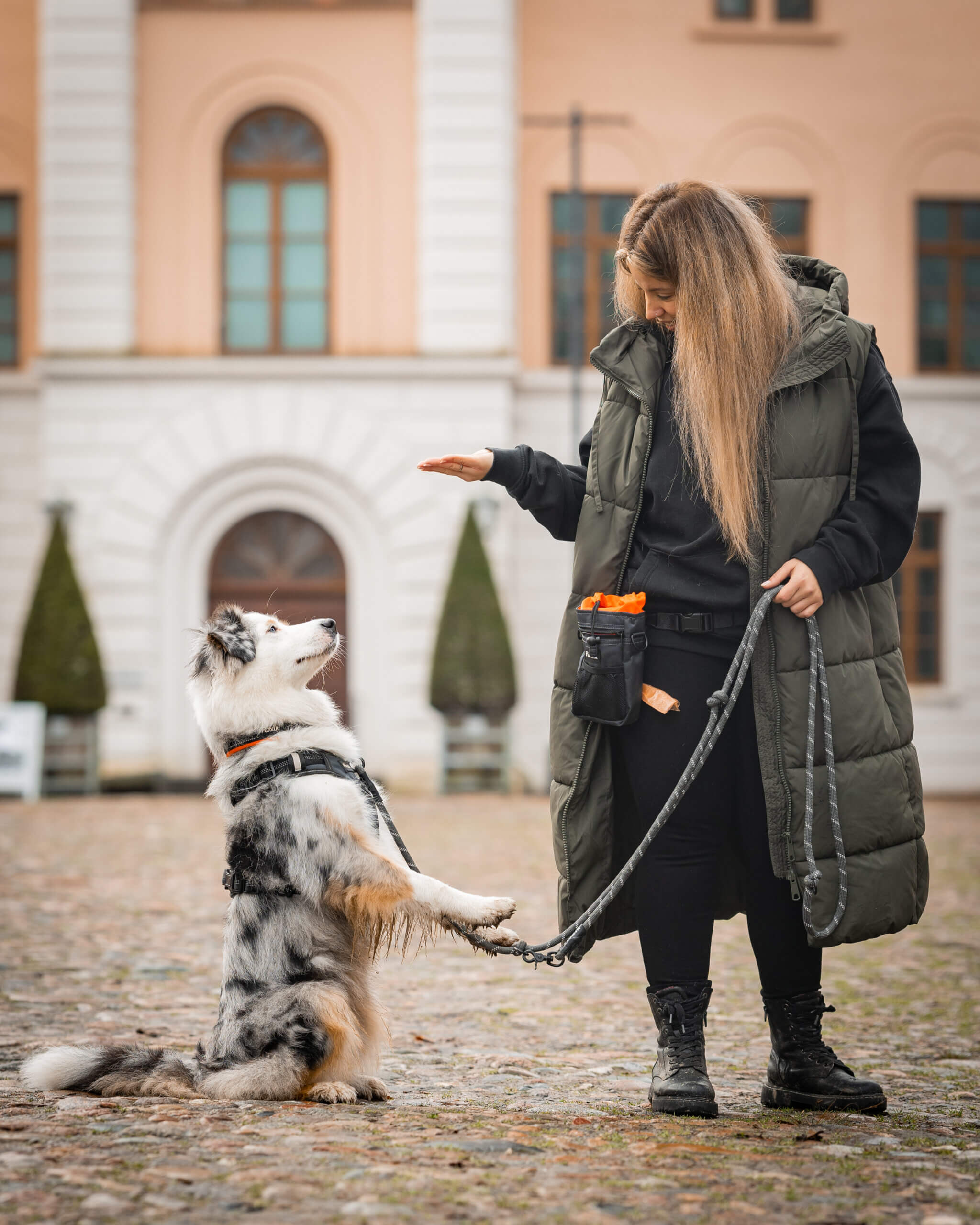 Hund beißt in die Leine