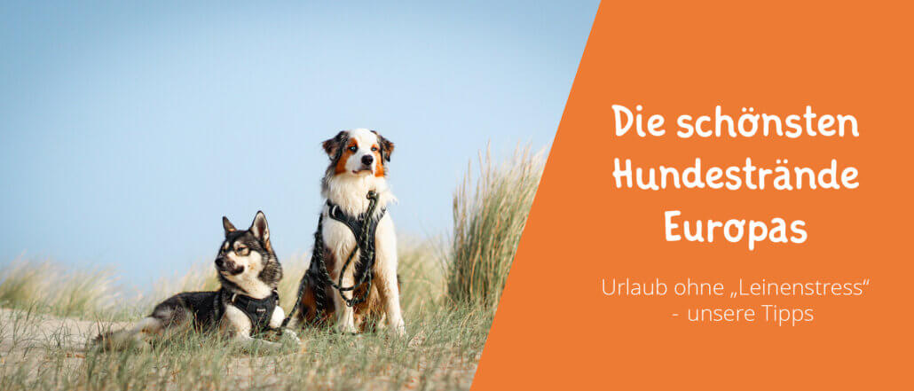 Hundestrände Europas