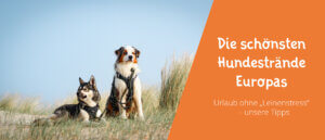 Hundestrände Europas