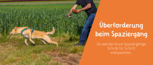 Überforderung beim Spaziergang