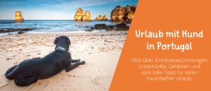 Urlaub mit Hund in Portugal
