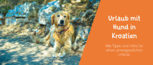 Urlaub mit Hund in Kroatien